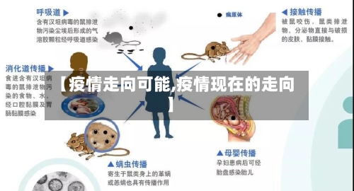 【疫情走向可能,疫情现在的走向】-第2张图片