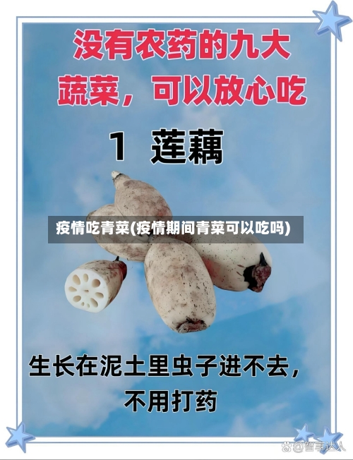 疫情吃青菜(疫情期间青菜可以吃吗)-第1张图片