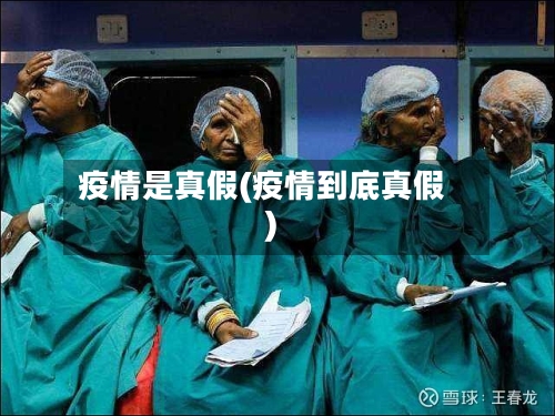 疫情是真假(疫情到底真假)-第1张图片