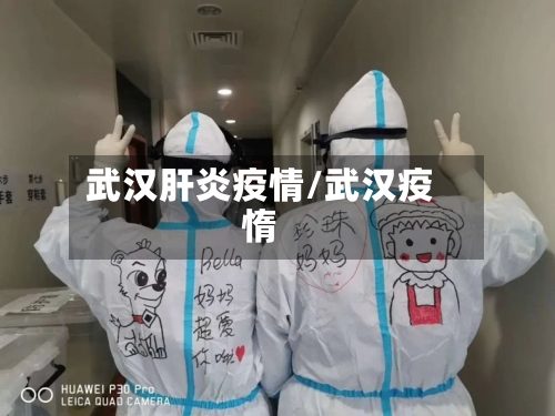 武汉肝炎疫情/武汉疫惰-第2张图片