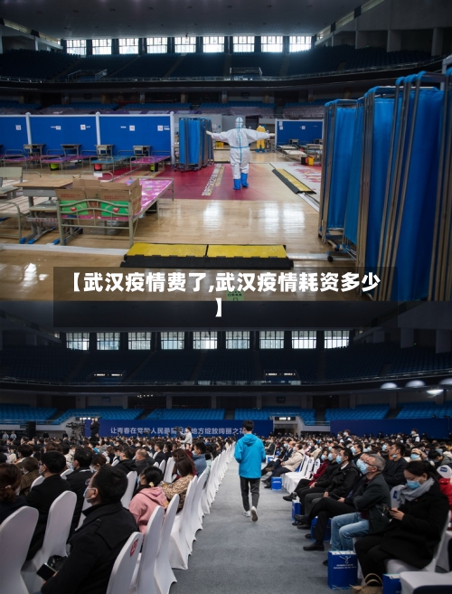 【武汉疫情费了,武汉疫情耗资多少】-第3张图片