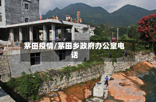 茅田疫情/茅田乡政府办公室电话-第2张图片