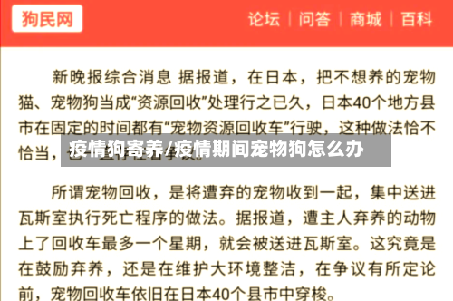 疫情狗寄养/疫情期间宠物狗怎么办-第1张图片