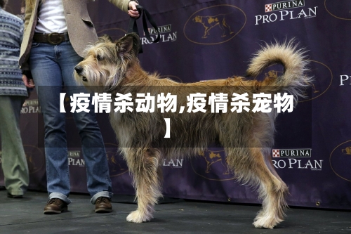 【疫情杀动物,疫情杀宠物】-第1张图片