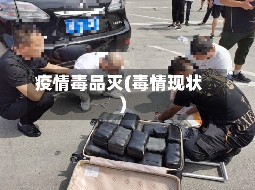 疫情毒品灭(毒情现状)-第2张图片