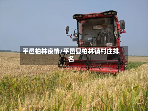 平邑柏林疫情/平邑县柏林镇村庄排名-第1张图片