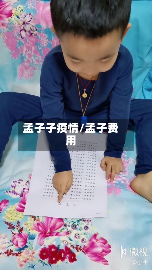 孟子子疫情/孟子费用-第3张图片